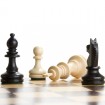 Игры шахматы